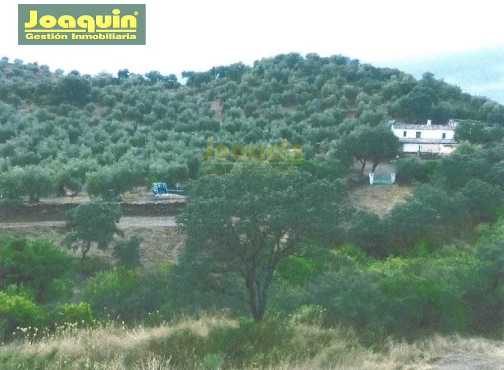 Vivienda  Montoro Córdoba | Inmobiliaria Joaquín