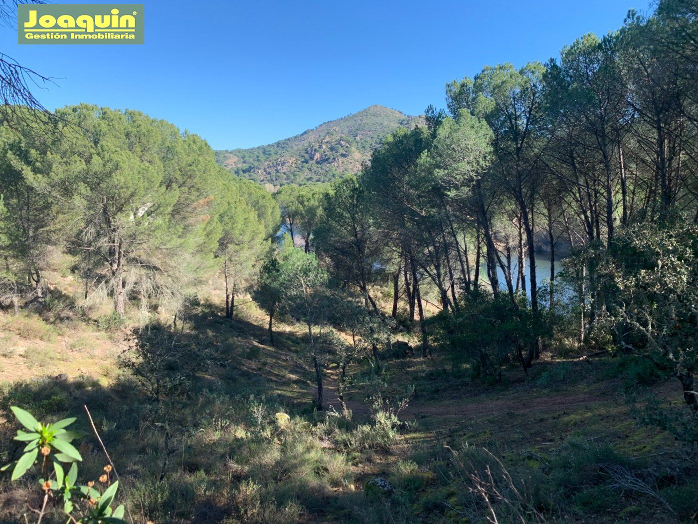 Vivienda  Las jaras - assuan Córdoba | Inmobiliaria Joaquín