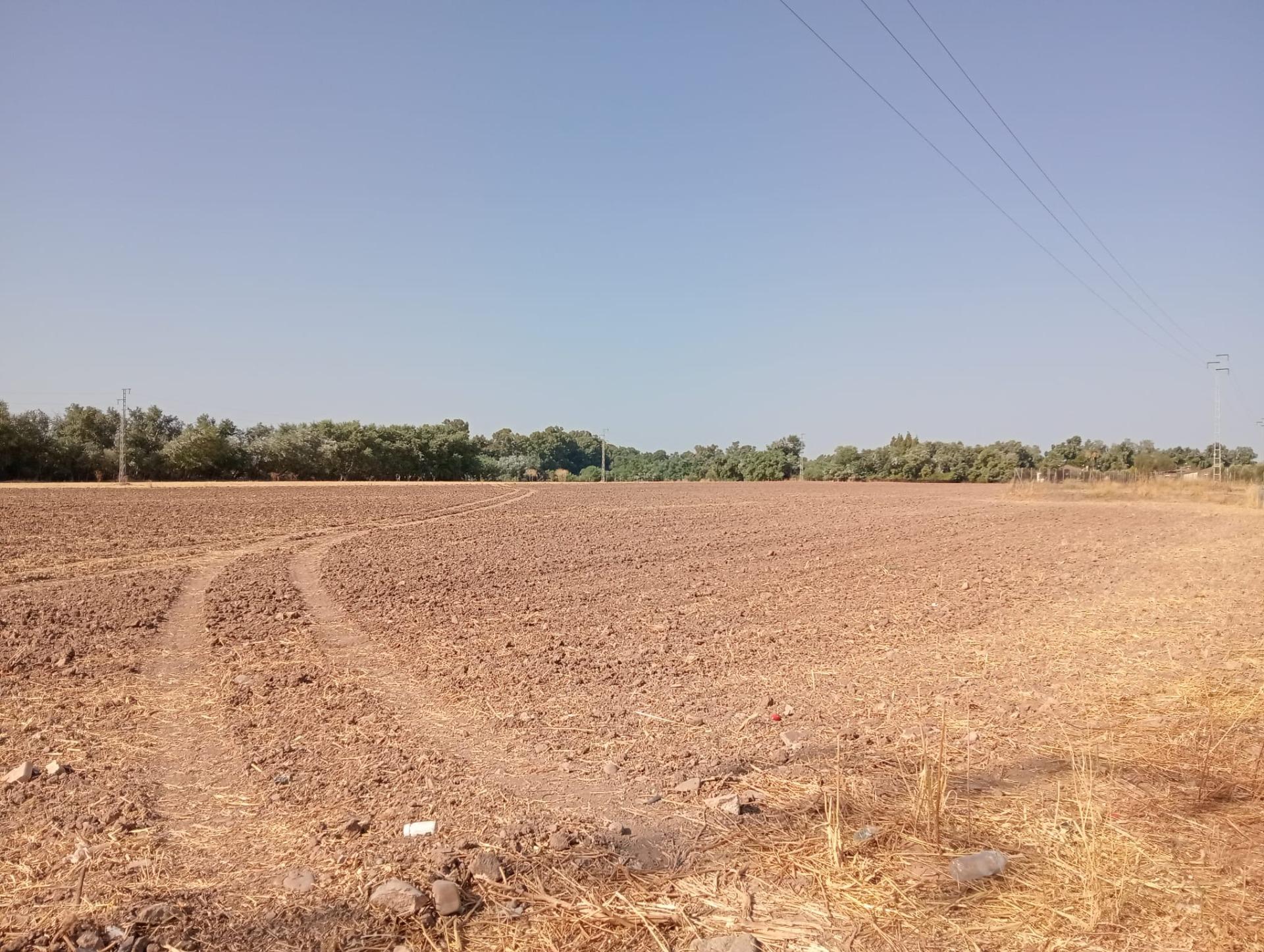Vivienda  Crta. aeropuerto Córdoba | Inmobiliaria Joaquín